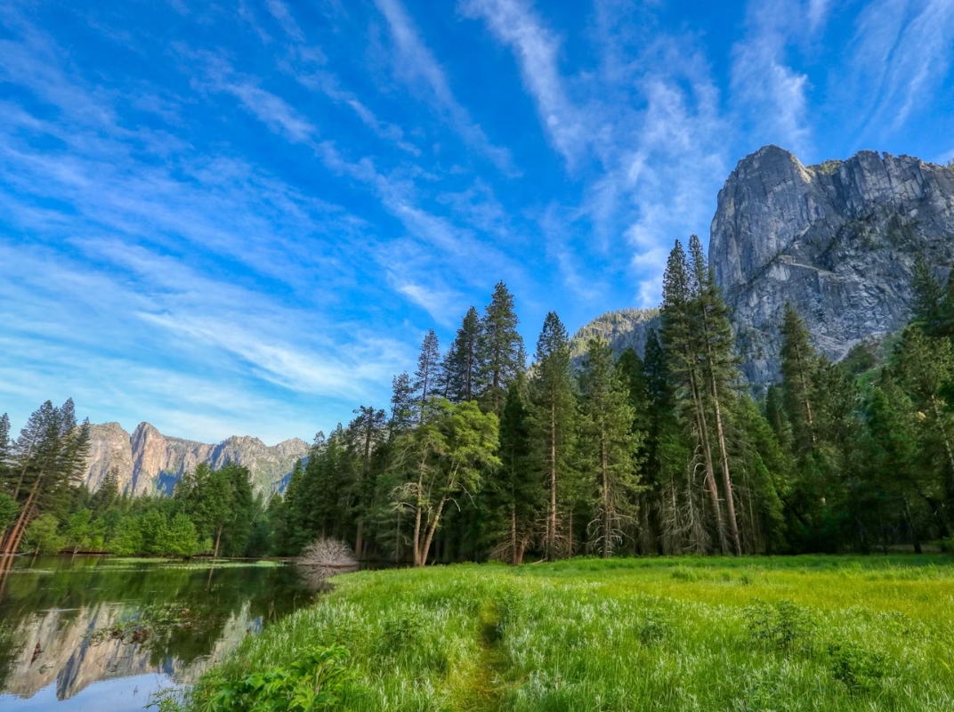 cimef responsabilidad